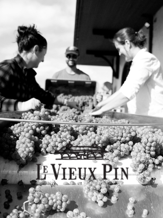 Le Vieux Pin Wine Society For A Day 6 Pack